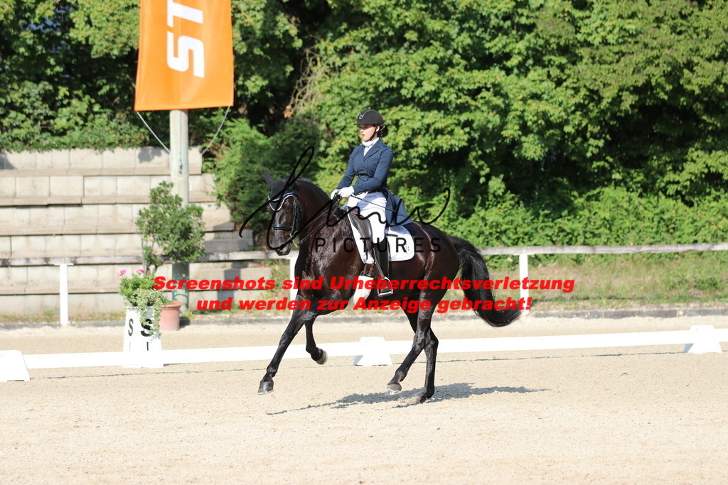 IMG_9013 | lmwpictures - Realisiert mit Pictrs.com