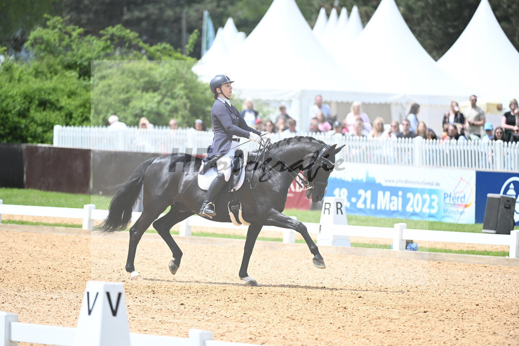 Borgmann-Reuter_Sanrico_11233639 | hf-fotografie - Realisiert mit Pictrs.com