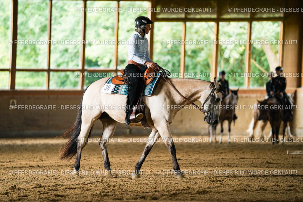 DSC05381 | Pferdegrafie