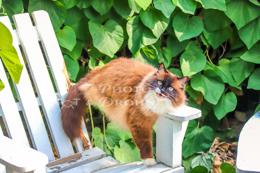 IMG_6660 | Erleben Sie den Zauber des Mittelrheins und entdecken Sie die atemberaubende Auswahl an Fotos und Bildern bei Rheinfotos. Wir bieten eine vielfältige Auswahl an Produkten wie Poster, Karten, Sticker, Textilien und Geschenkartikeln und Fototouren. - Realisiert mit Pictrs.com