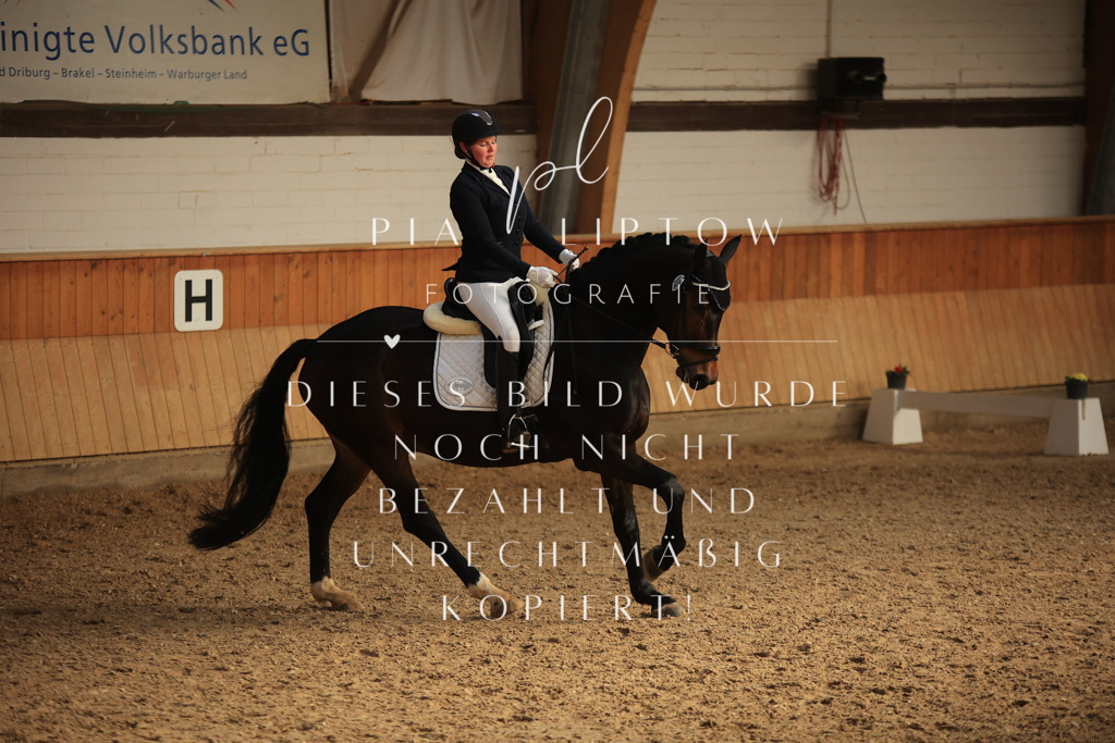 IMGT4651 | pl-fotografie