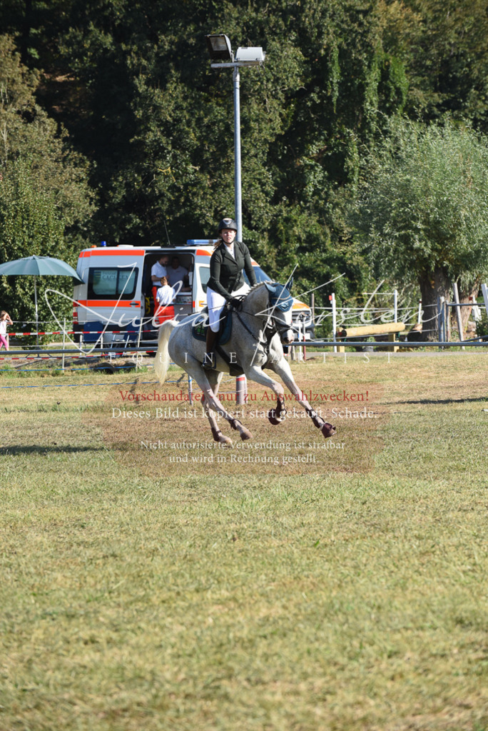 DSC_5210 | Pferde- und Turnierfotografie in Westsachsen. Pferdeportraits, Auftragszeichnungen und intuitive Kunst.