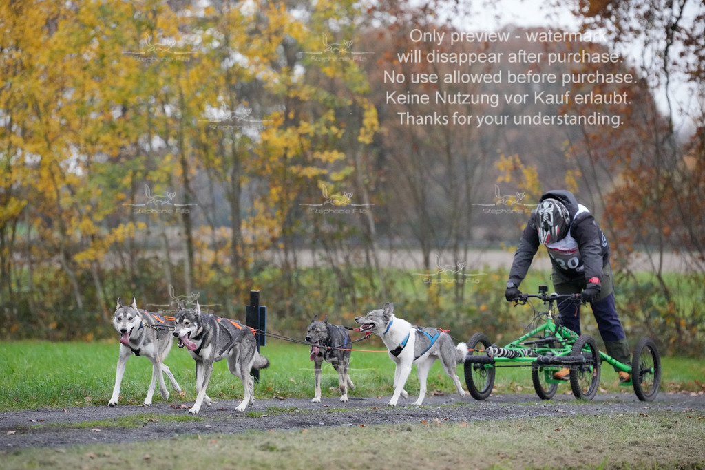 Visbeck_Sa_D4_6-30 | stephaniefillaphotographie - Realisiert mit Pictrs.com