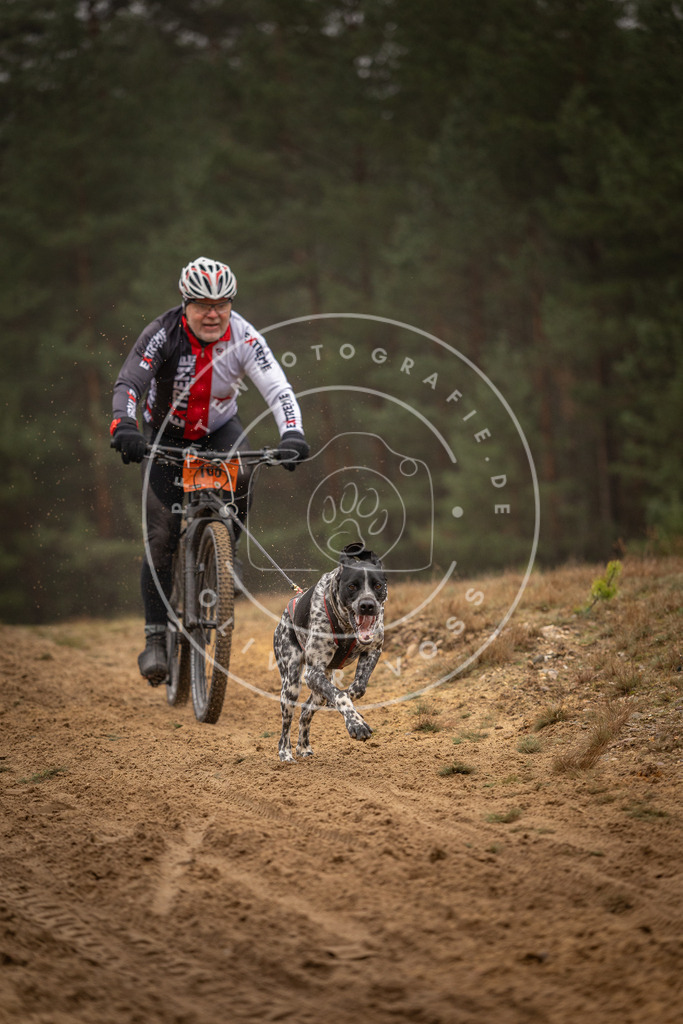 Pfotenfotografie_DV3A3276 | Hundefotografie, Tierfotograf, Pfotenfotografie, Fotoshooting Hund, Hunde Portrait, Hundesport, Hundeportraits, Heideshooting, Hunde, Sportfotograf, Hundefotograf, Turnierhundsport, THS,  - Realisiert mit Pictrs.com