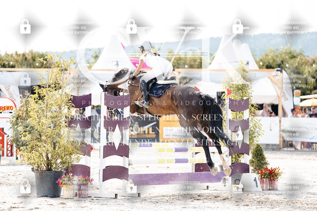 CK905917 | Turnierfotografie Pferdefotografie Trier Rheinland-Pfalz Pferdesport Reitsport Tierfotografie Sportfotografie Pferdevideo Pferdevideografie Equestrianvideography equestrianphotography  - Realisiert mit Pictrs.com