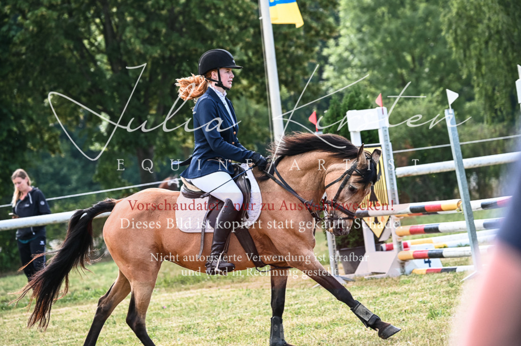 DSC_8034 | Pferde- und Turnierfotografie in Westsachsen. Pferdeportraits, Auftragszeichnungen und intuitive Kunst.