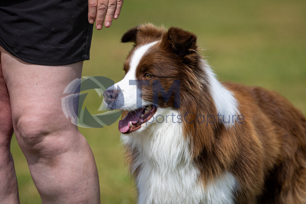 TP-20240815-0174 | Copyright: Trainproduction / Matthias Trinkl