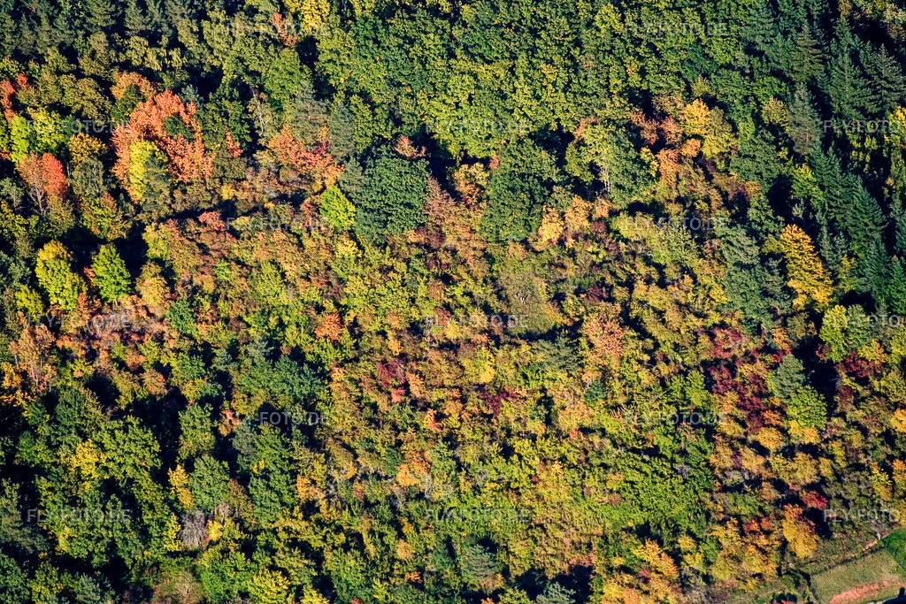 herbstlicher Wald | Luftbild: herbstlicher Wald in Waldhambach im Bundesland Rheinland-Pfalz in Deutschland. Foto: IMG_13679.jpg vom 28.09.2008 durch Werner Riehm/FLY-FOTO.de - Realisiert mit Pictrs.com