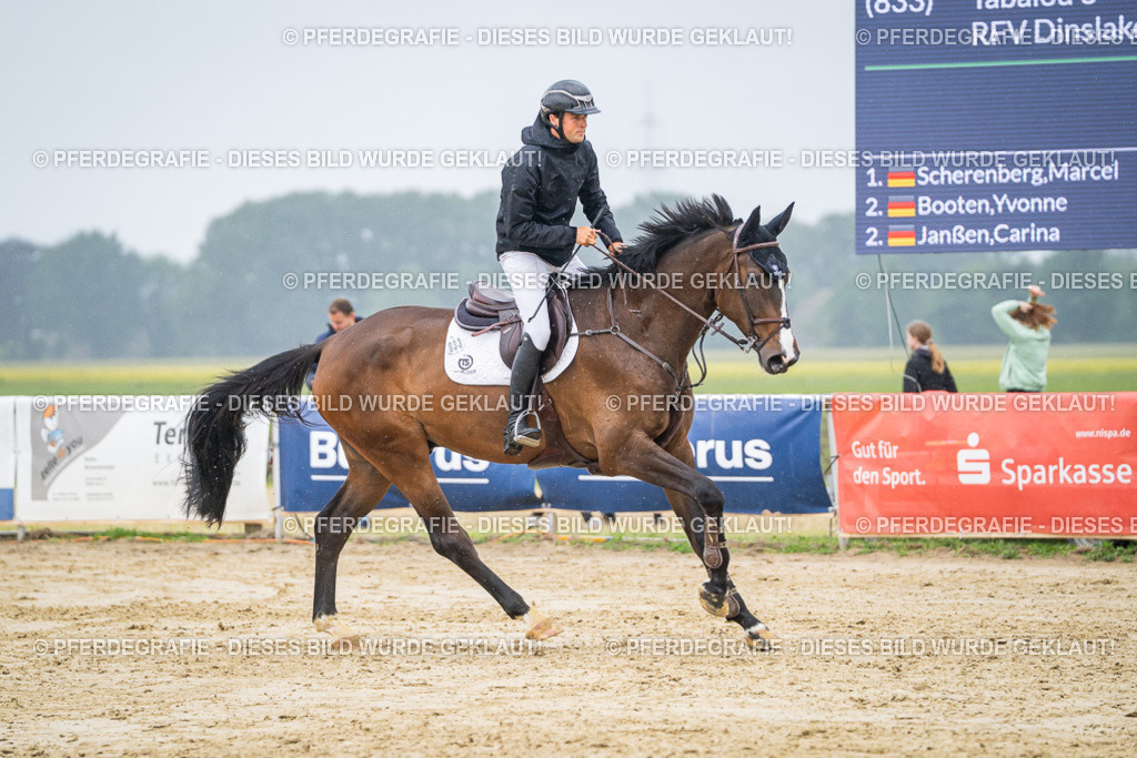 DSC02945 | Pferdegrafie