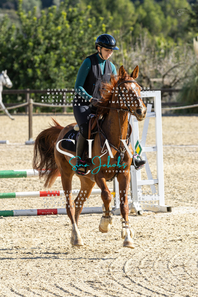 IMG_3625 | s-jay-photography - Realisiert mit Pictrs.com