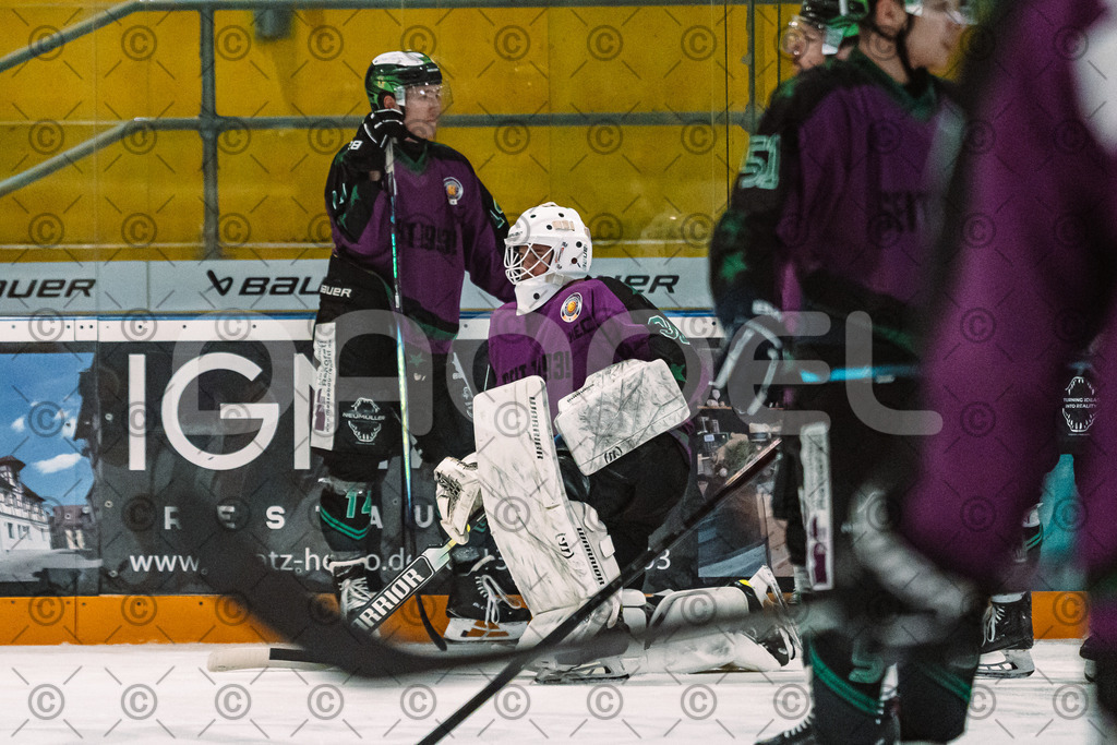 Alligators_vs_Erding_12_12_2025-015 | Höchstadt Alligators Fotogalerie: Eishockey-Action aus Franken. Professionelle Spielfotos, Portraits & Stadionbilder zum Download. Jetzt entdecken! - Realized with Pictrs.com