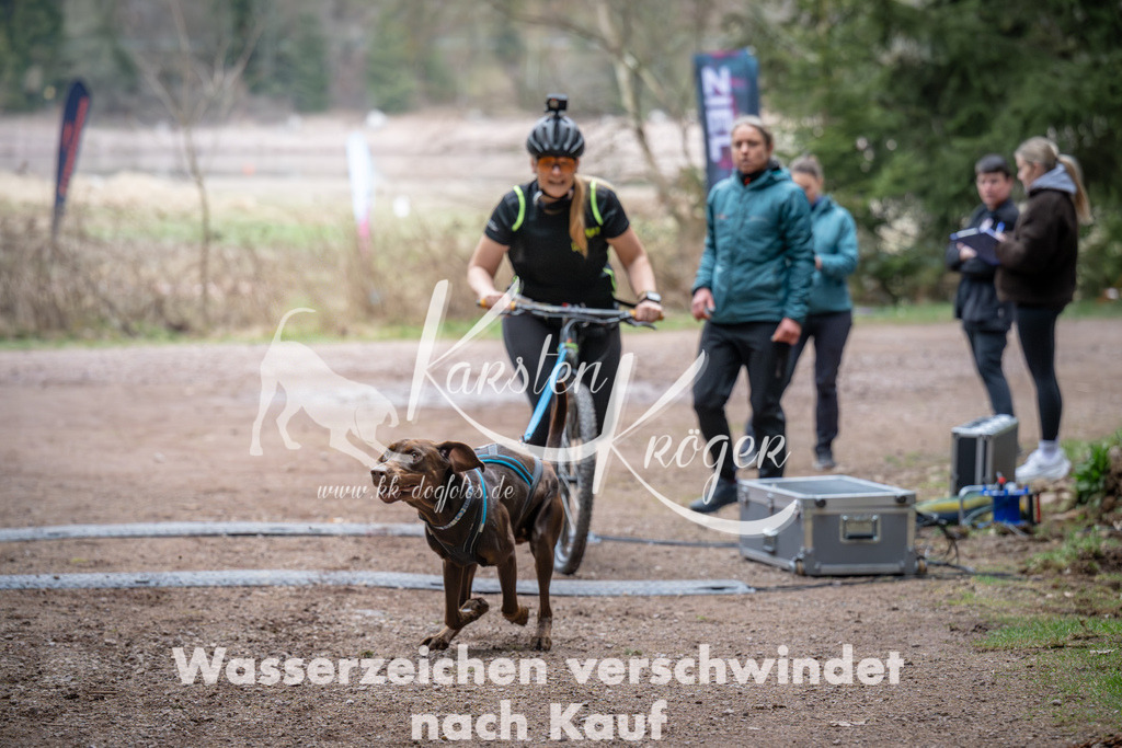 0940_ZZ91739 | kk-dogfotos