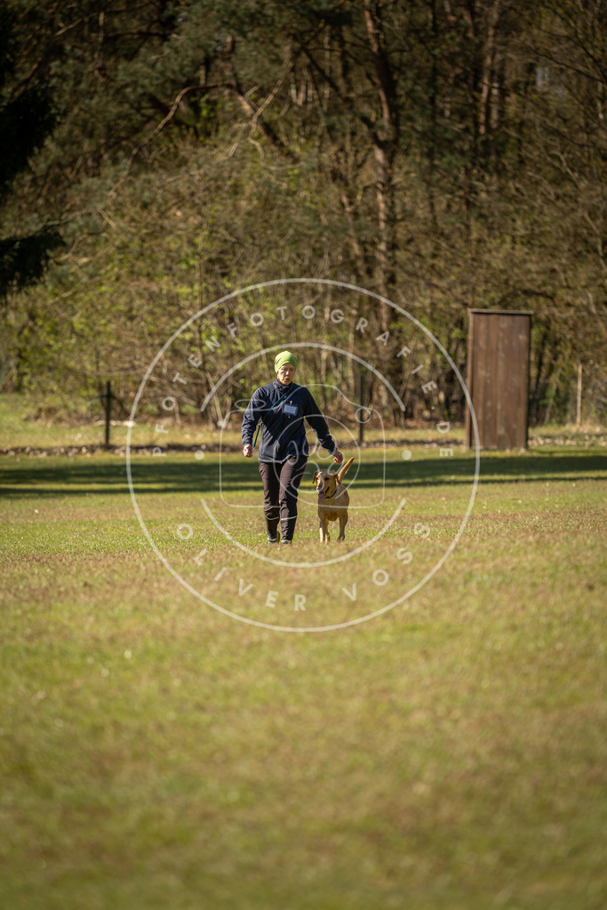 Pfotenfotografie_DV3A0095 | Hundefotografie, Tierfotograf, Pfotenfotografie, Fotoshooting Hund, Hunde Portrait, Hundesport, Hundeportraits, Heideshooting, Hunde, Sportfotograf, Hundefotograf, Turnierhundsport, THS,  - Realisiert mit Pictrs.com
