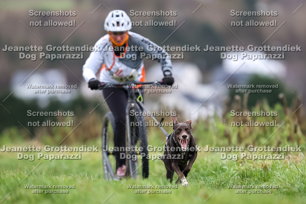 Dog Paparazzi - Herkules Race  2025-28 | Dog Paparazzi Jeanette Grottendiek Fotografie & Videografie - Realisiert mit Pictrs.com