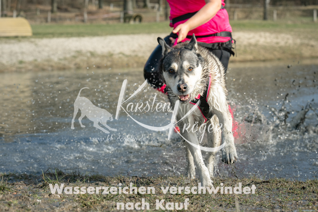 1356_ZZ99170 | kk-dogfotos