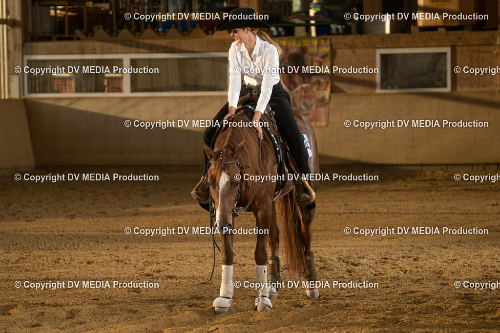 LAU02007 | dv-media-shop - Realisiert mit Pictrs.com