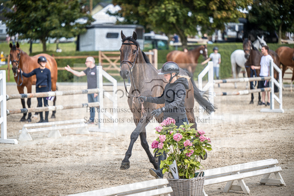 DOS_0570 | Entdecke hochwertige Reitturnierfotos von Foto Oger. Professionell, emotional und authentisch – jetzt Lieblingsmomente im Shop bestellen.Deutschlandweite Turnierfotografie. - Realisiert mit Pictrs.com