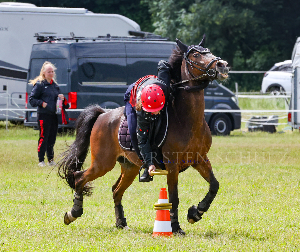 1B3A2579 | Reitsport Reiten