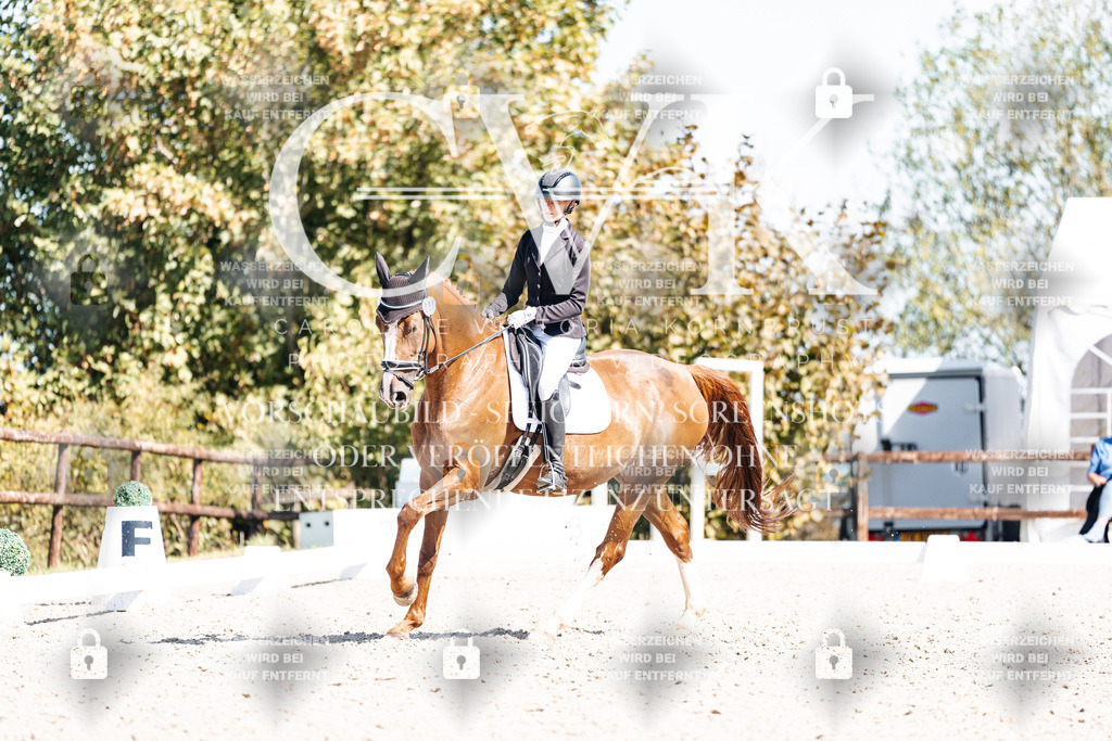 CK903948 | Turnierfotografie Pferdefotografie Trier Rheinland-Pfalz Pferdesport Reitsport Tierfotografie Sportfotografie Pferdevideo Pferdevideografie Equestrianvideography equestrianphotography  - Realisiert mit Pictrs.com