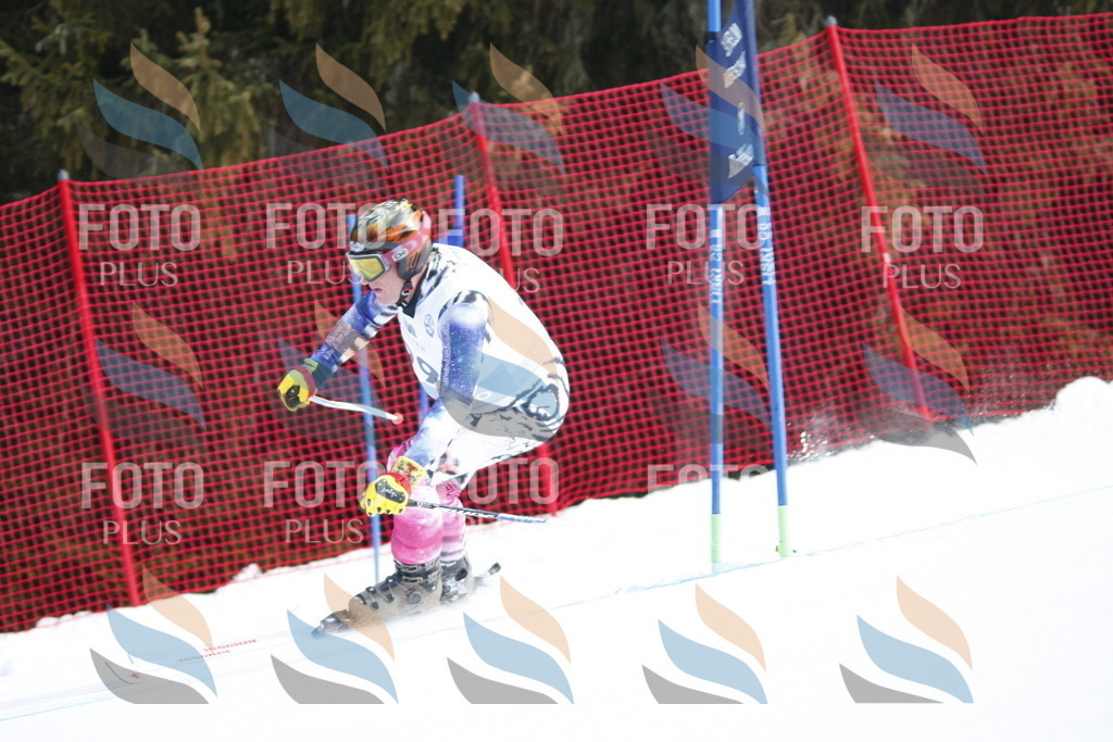 D6335 | holidayphoto