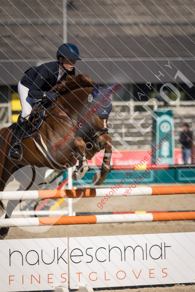IMG_3216 | Sport-, Event- und Tierfotos in Profiqualität. Einfach auswählen, bestellen und herunterladen. Dein Moment – perfekt festgehalten.