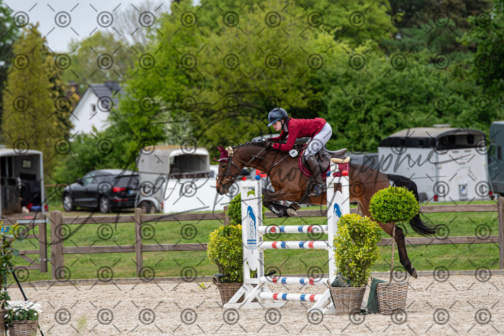 KPT_8280 | andre_photographic