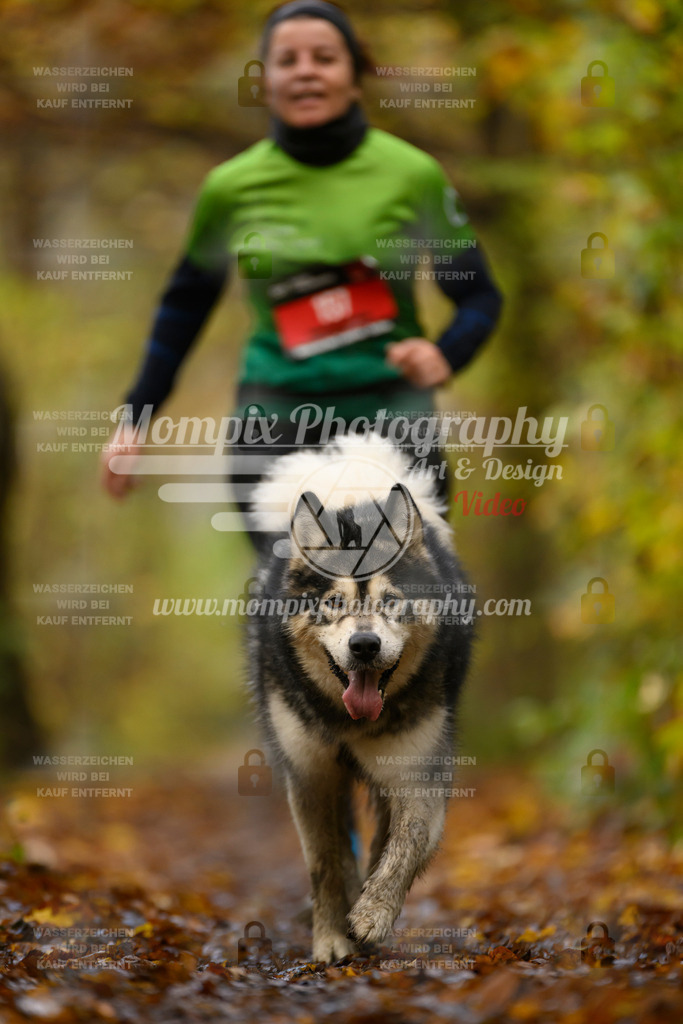 MompixPhotography_CD7S_DI_CCL-186 | mompixphotography