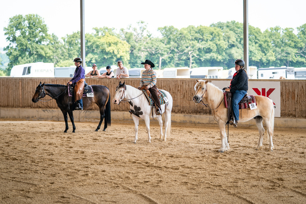 DSC01575 | Pferdegrafie