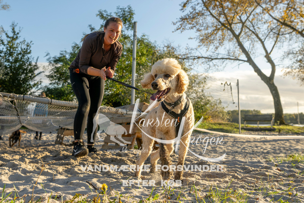 1653_ZZ90146 | kk-dogfotos