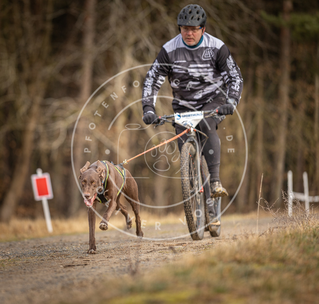 DV3A3452 | Hundefotografie, Tierfotograf, Pfotenfotografie, Fotoshooting Hund, Hunde Portrait, Hundesport, Hundeportraits, Heideshooting, Hunde, Sportfotograf, Hundefotograf, Turnierhundsport, THS,  - Realisiert mit Pictrs.com