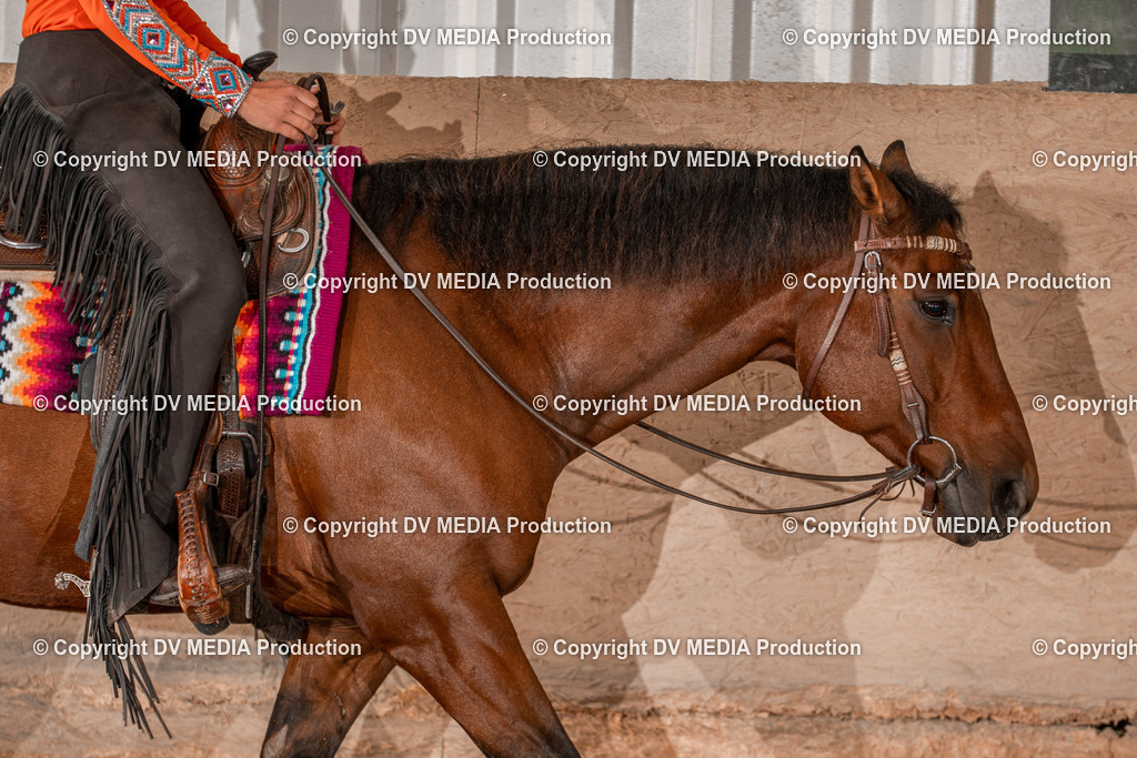 Balingen Tag 3-527 | dv-media-shop - Realisiert mit Pictrs.com