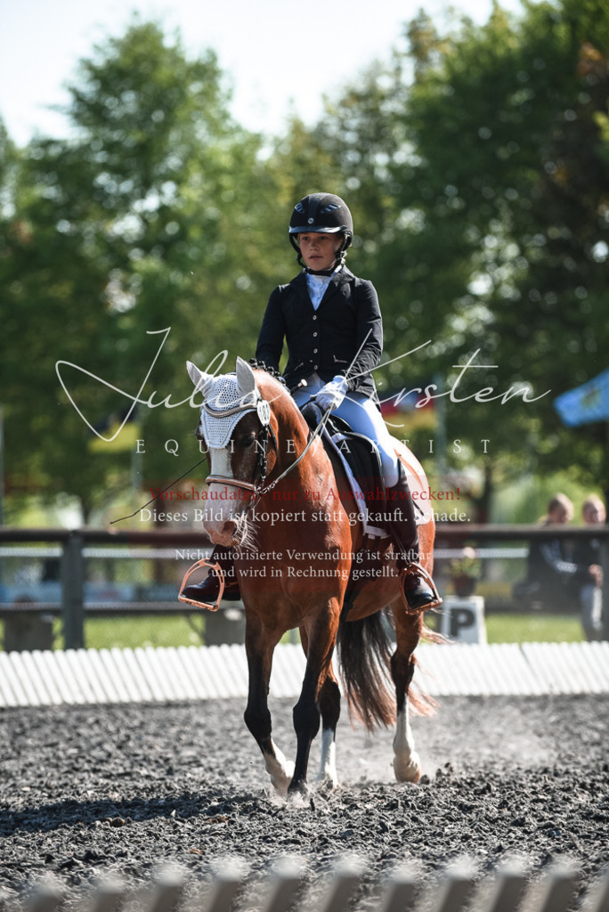 DSC_8703 | Pferde- und Turnierfotografie in Westsachsen. Pferdeportraits, Auftragszeichnungen und intuitive Kunst.