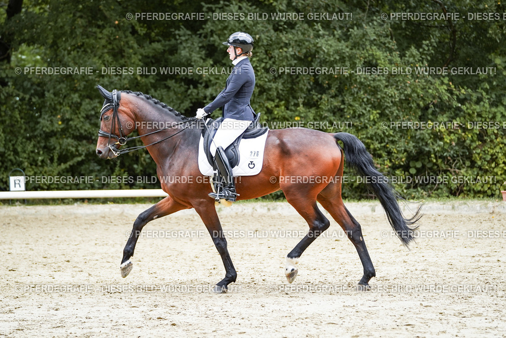 DSC07200 | Pferdegrafie