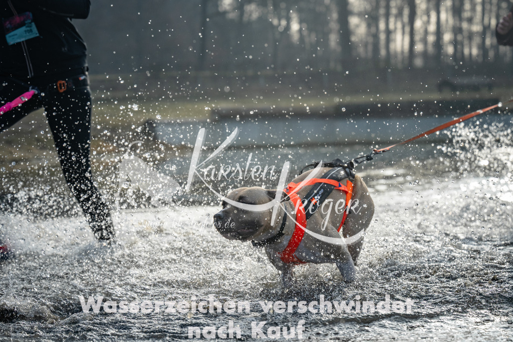 0832_ZZ97319 | kk-dogfotos
