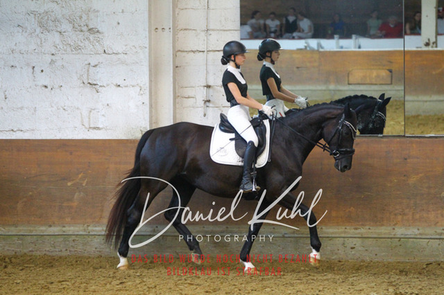 DKP44280 | Turniersportfotografie; Pferdefotografie; Dressurfotografie