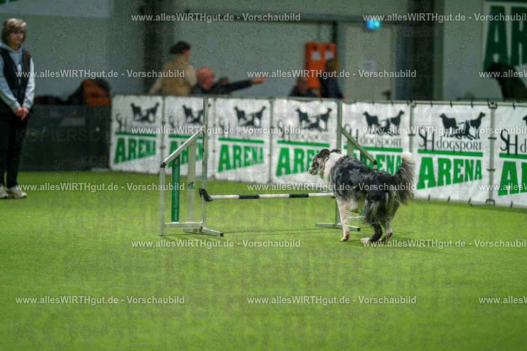 7R504435 | Professionelle Tierfotografie in Mönchengladbach von Daniel Wirth (allesWIRTHgut). Liebevolle & natürliche Bilder von Hunden & Katzen für unvergessliche Erinnerungen.