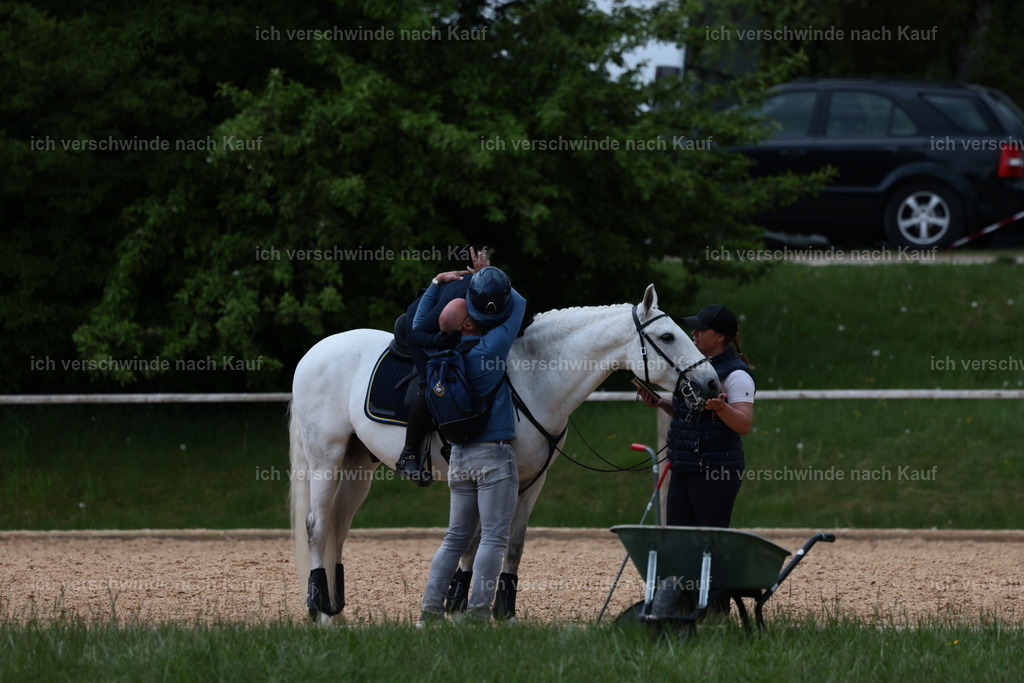 PI26_ST_StoibphotographyC2_L9097.JPG | working equitationturnier fotograf videograf stoibphotography marixx film working equitation deutschland reitsport turnierfotografie eventfotografie equestrian events