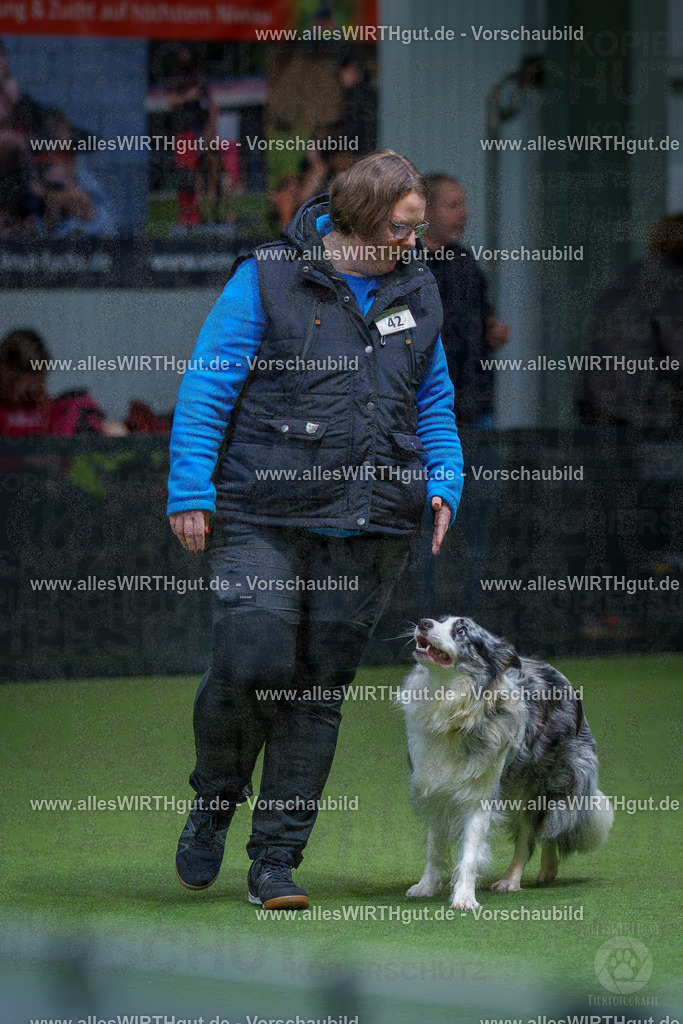 7R506319 | Professionelle Tierfotografie in Mönchengladbach von Daniel Wirth (allesWIRTHgut). Liebevolle & natürliche Bilder von Hunden & Katzen für unvergessliche Erinnerungen.