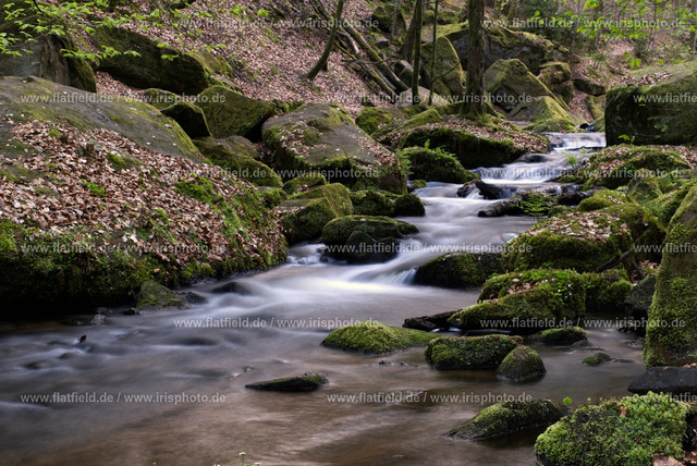 Bach in der Karlstalschlucht II | Landschaftsfoto Pfälzer Wald