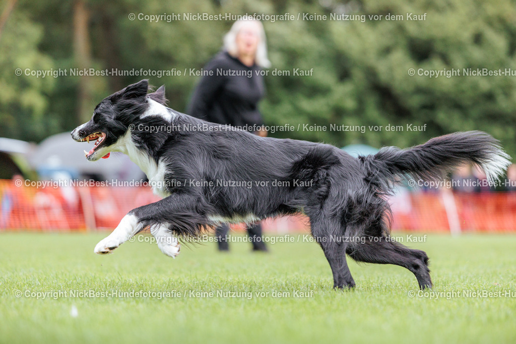 BSP Hoopers-H2 Tag2-2026-Nickbest-Hundefotografie-TuS Komet Arsten e.V.-8038 | Dein Hund! Dein Moment! Deine Erinnerungen! Hundefotografie in Bremen Blumenthal. Ich fange die besonderen Momente deines Vierbeiners ein – ob Indoor mit Blitzanlage oder in der freien Natur. Sicher dir dein Moment und dein Termin für eure Erinnerungen.