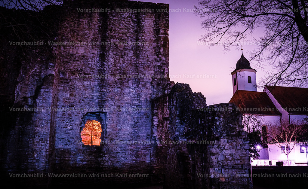 DSC06461 | marcuslinek