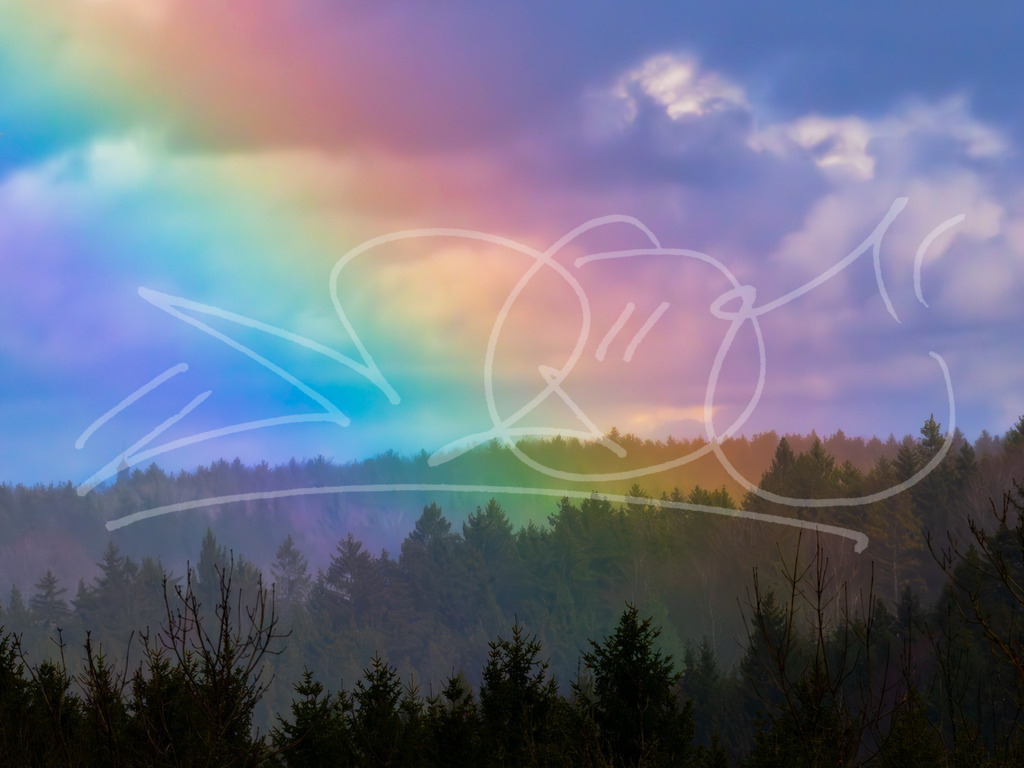 Rainbow Forest | Naturschönheiten aus Deutschland. Pflanzen und Tiere, Insekten und Naturschauspiele. Alle schönen Details, die uns umgeben, fotografiert von Michi Moc.  - Realisiert mit Pictrs.com