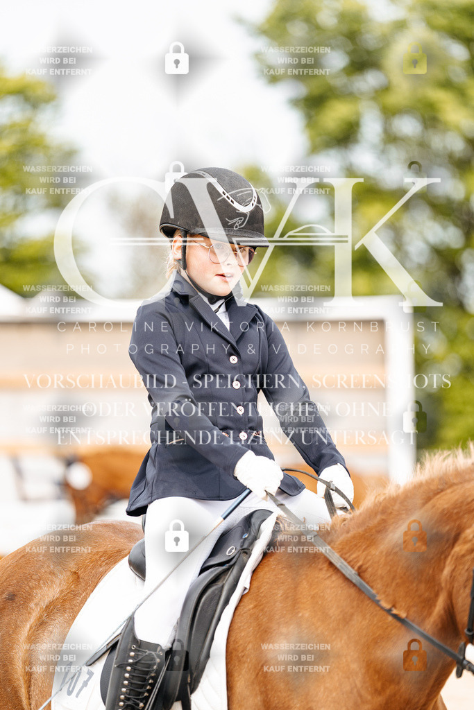 CK904568 | Turnierfotografie Pferdefotografie Trier Rheinland-Pfalz Pferdesport Reitsport Tierfotografie Sportfotografie Pferdevideo Pferdevideografie Equestrianvideography equestrianphotography  - Realisiert mit Pictrs.com