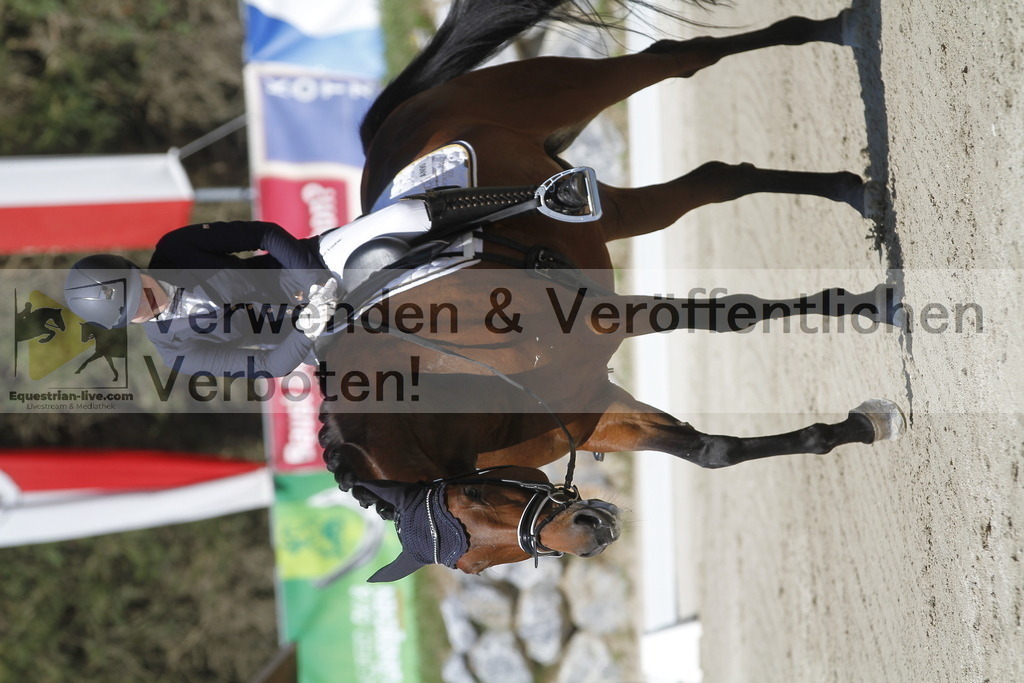 _MG_0479 | equestrian-live-com