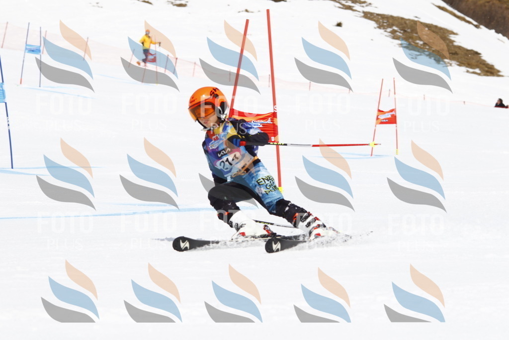 _U3G5529 | holidayphoto