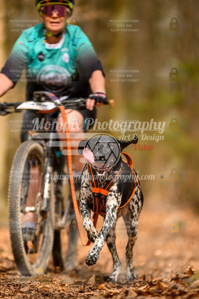 MompixPhotography_Habay2025_SA_Bike-176 | PayLife