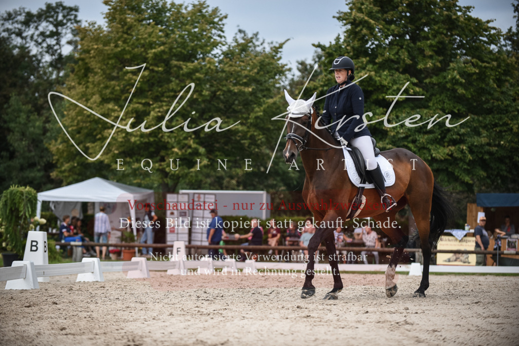 DSC_8445 | Pferde- und Turnierfotografie in Westsachsen. Pferdeportraits, Auftragszeichnungen und intuitive Kunst.