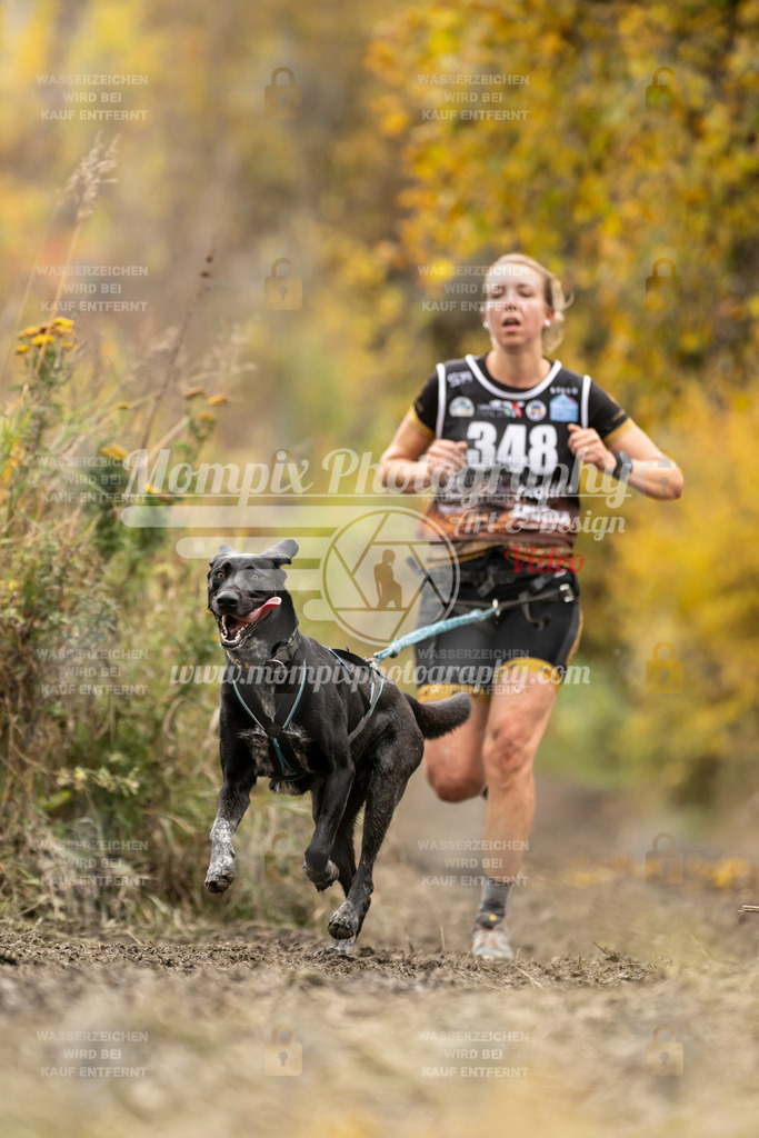 MompixPhotography_ICF_WC_2024_SA_Run_-256 | PayLife