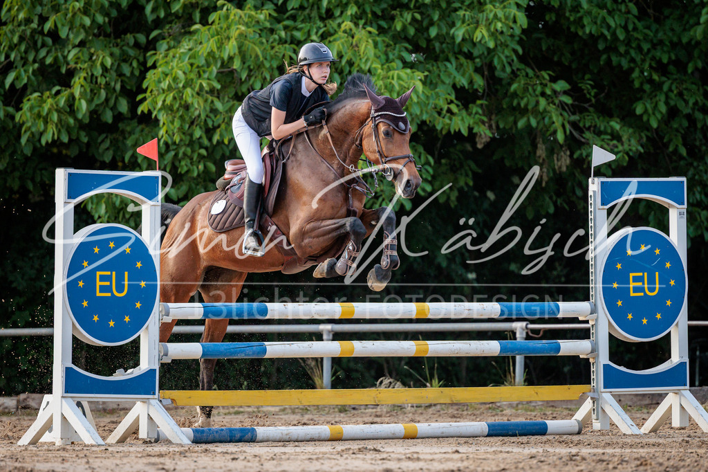 20260529-_3LI1504 | Tierfotografie Pferde, Hunde, Katzen, Haustiere.
Turnierfotografie Reitturniere, Reiten, Springreiten, Dressur in Hanau, dem Main-Kinzig-Kreis und dem Rhein-Main- Gebiet um Frankfurt