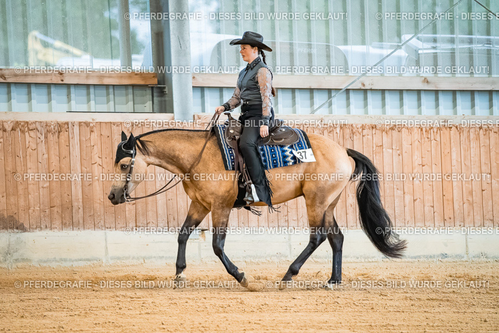 DSC00022 | Pferdegrafie